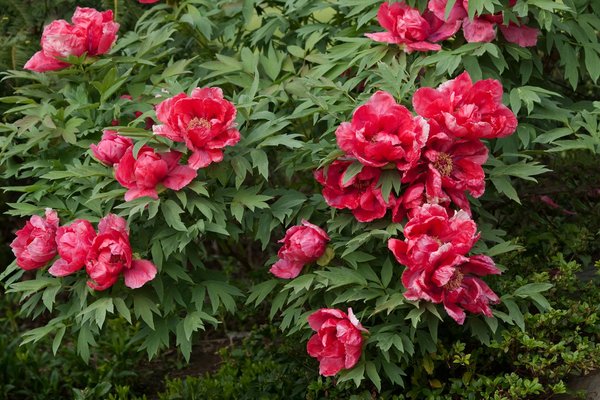 Le boom du viager dans les grandes villes de France